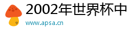 2002年世界杯中国队阵容